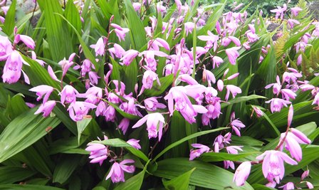 f:id:naozi:20120509180139j:image