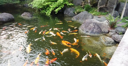 f:id:naozi:20120509180518j:image