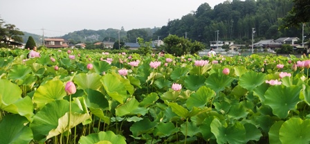 f:id:naozi:20130714061701j:image