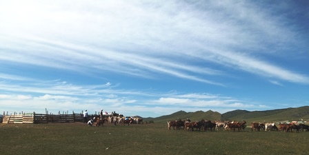 f:id:naozi:20130726172320j:image