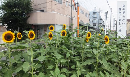 f:id:naozi:20130806080501j:image