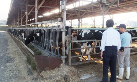 f:id:naozi:20130928074344j:image