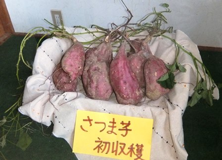 f:id:naozi:20130928080659j:image