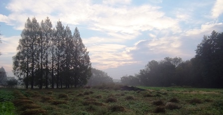 f:id:naozi:20131103065231j:image