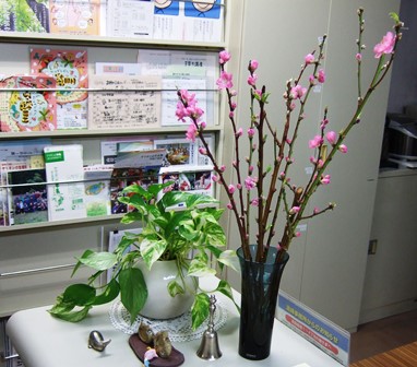 f:id:naozi:20140219171058j:image