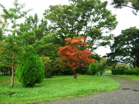 f:id:naozi:20140907175149j:image