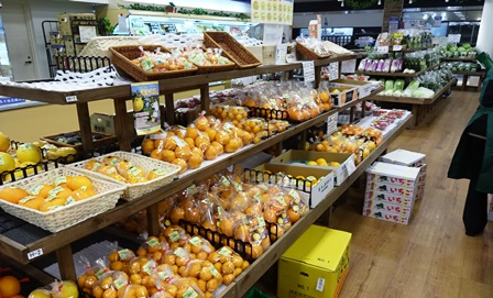 f:id:naozi:20150218210817j:image