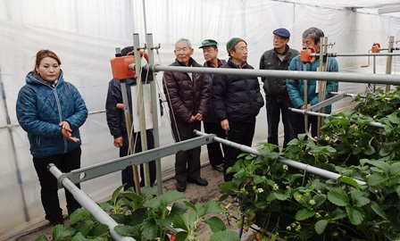 f:id:naozi:20150218211540j:image