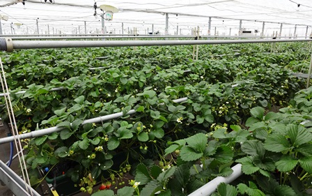 f:id:naozi:20150218211628j:image