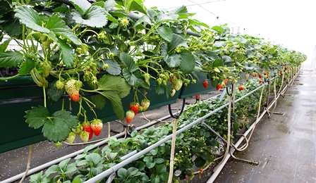 f:id:naozi:20150218211724j:image