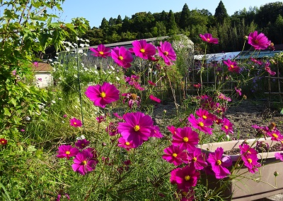 f:id:naozi:20151015212916j:image