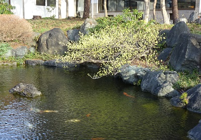 f:id:naozi:20160310234135j:image