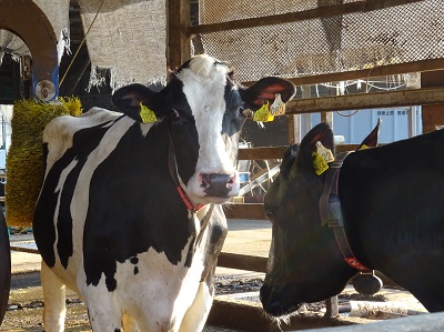 f:id:naozi:20181018153350j:image