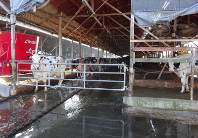 f:id:naozi:20181018153354j:image