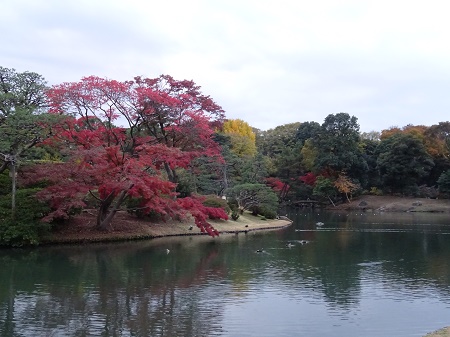 f:id:naozi:20181130135447j:image