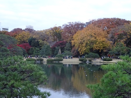 f:id:naozi:20181130135450j:image