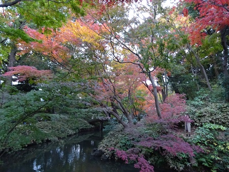 f:id:naozi:20181130135453j:image