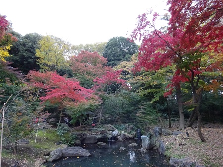 f:id:naozi:20181130135458j:image