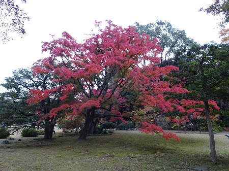 f:id:naozi:20181130135506j:image