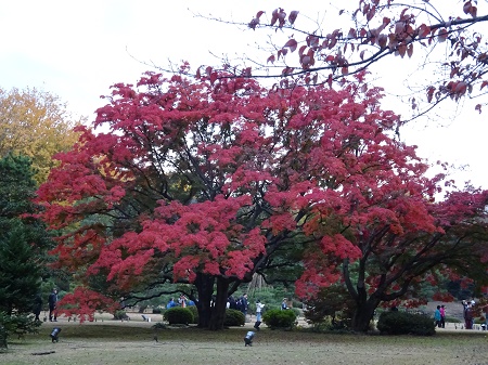 f:id:naozi:20181130135509j:image