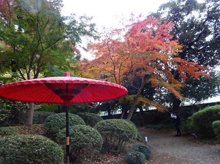 f:id:naozi:20181130135512j:image