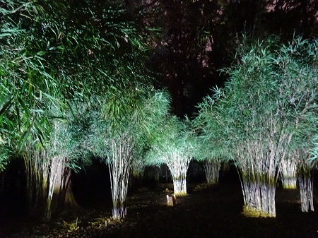 f:id:naozi:20181130140528j:image