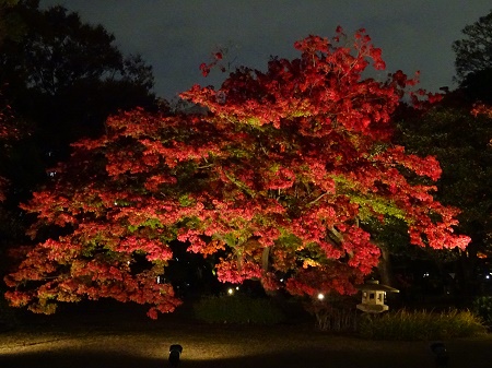 f:id:naozi:20181130140537j:image