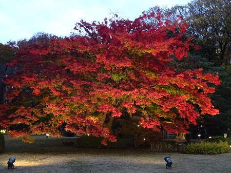 f:id:naozi:20181130140550j:image