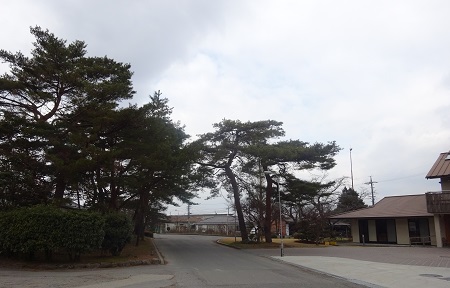 f:id:naozi:20190216115930j:plain