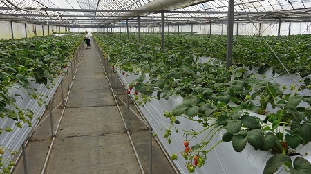 f:id:naozi:20190216120630j:plain