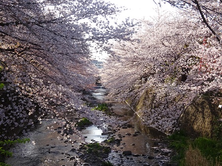 f:id:naozi:20190410134810j:plain