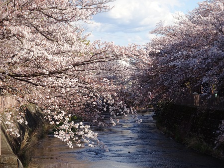 f:id:naozi:20190410134841j:plain