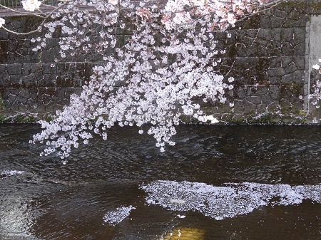 f:id:naozi:20190410135052j:plain