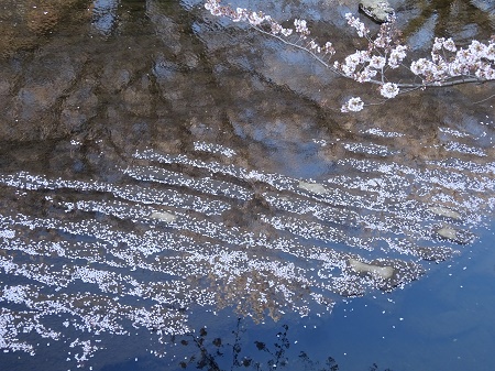 f:id:naozi:20190410135140j:plain