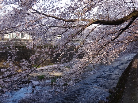 f:id:naozi:20190410135206j:plain