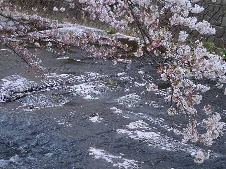 f:id:naozi:20190410135231j:plain