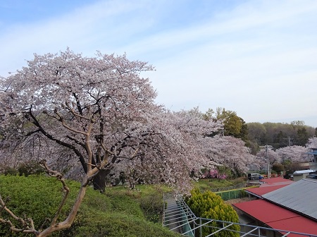 f:id:naozi:20190414220555j:plain