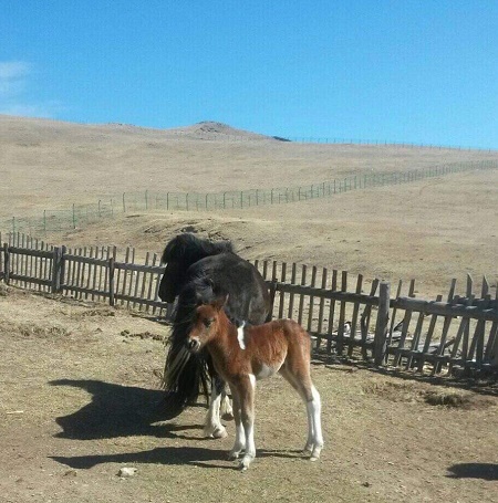 f:id:naozi:20190424221405j:plain