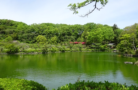 f:id:naozi:20190428170839j:plain