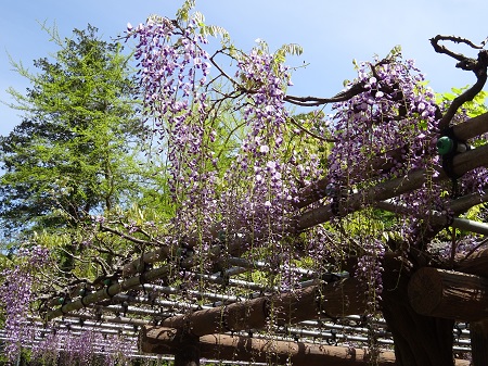 f:id:naozi:20190428171216j:plain