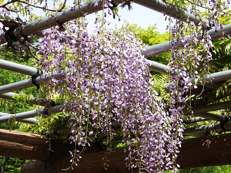 f:id:naozi:20190428171238j:plain