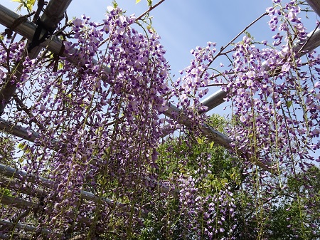 f:id:naozi:20190428171256j:plain