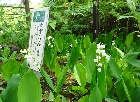 f:id:naozi:20190428171351j:plain