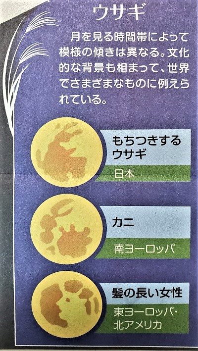 f:id:naozi:20201001211909j:plain