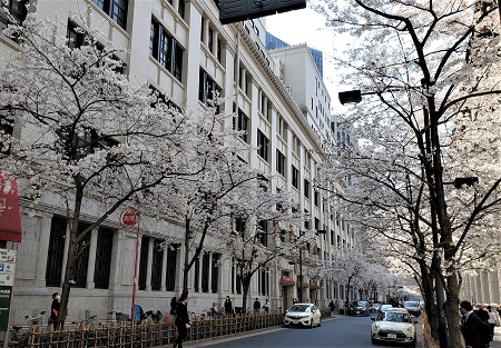 f:id:naozi:20210326205323j:plain