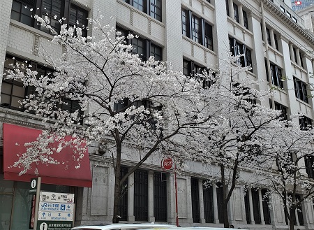 f:id:naozi:20210326205427j:plain