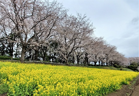 f:id:naozi:20210328215656j:plain