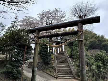 f:id:naozi:20210328215857j:plain