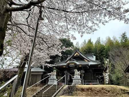 f:id:naozi:20210328215925j:plain