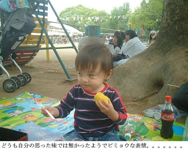 イメージ 4